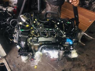 focus 1.6 dizel motor