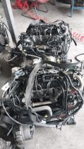 Ford Focus 2 çıkma 1.6 dizel dv6 motor ve motor parçaları